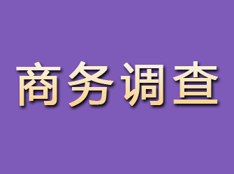 武威商务调查